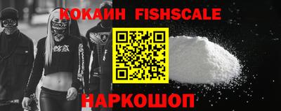 индика Гагарин