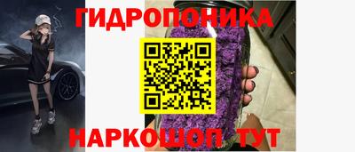 индика Гагарин