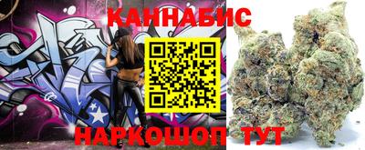 индика Гагарин