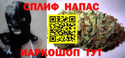 индика Гагарин