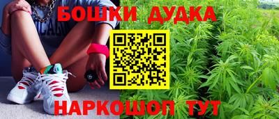 гашик Гай